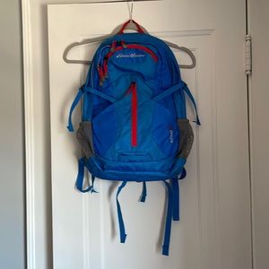 Eddie Bauer Kitsap 20L Hiking Backpack